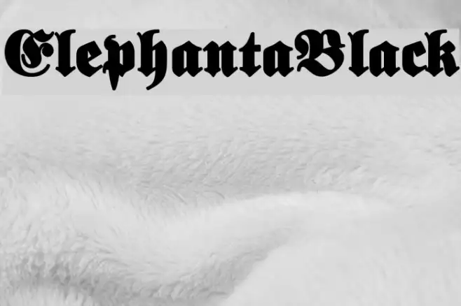 ElephantaBlack Example 3