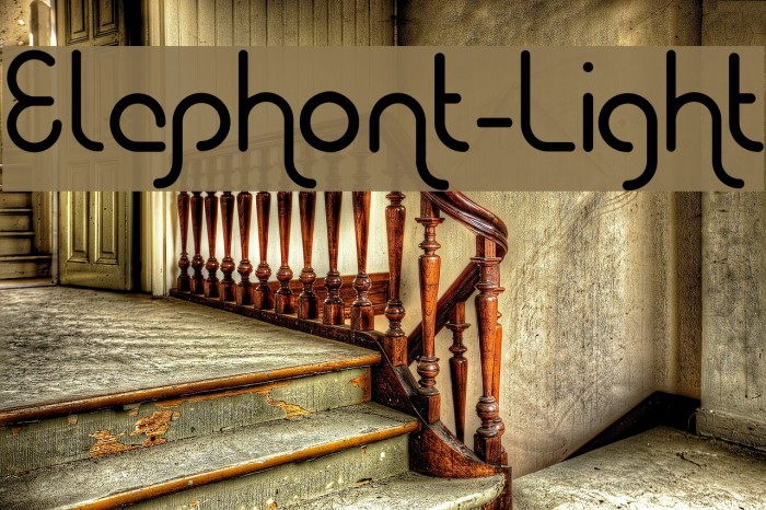 Elephont-Light Example 1