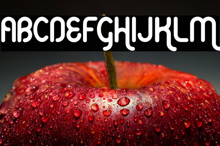 Elephont-Regular Example 1