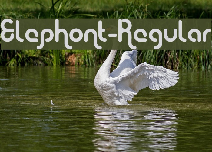 Elephont-Regular Font examples