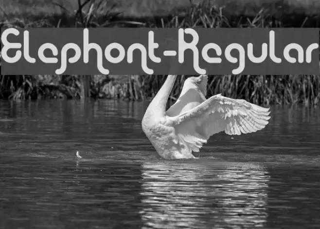 Elephont-Regular Example 2
