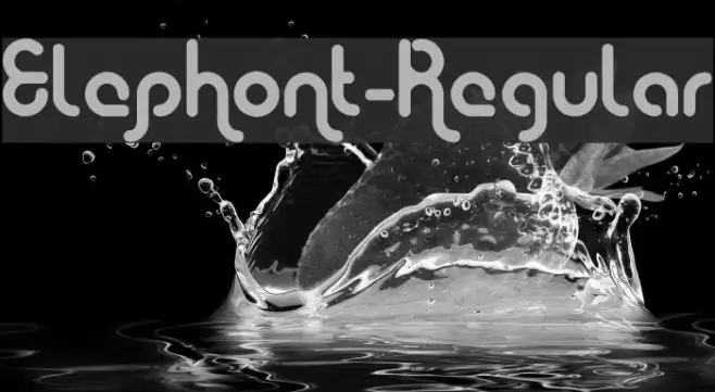 Elephont-Regular Example 3