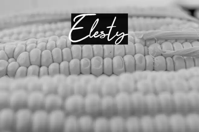 Elesty Font examples