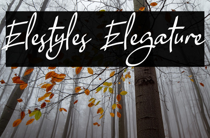 Elestyles Elegature Example 1