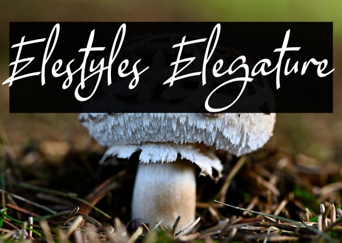 Elestyles Elegature Example 2