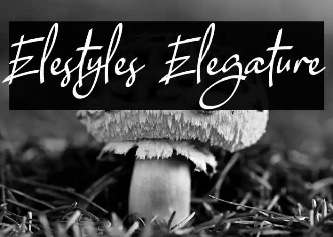 Elestyles Elegature Font examples