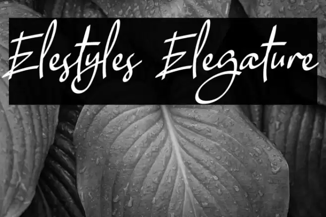 Elestyles Elegature Font examples