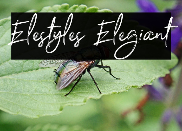 Elestyles Elegiant Example 2