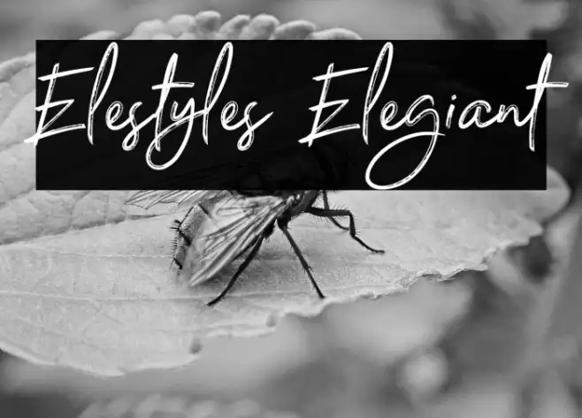 Elestyles Elegiant Example 2