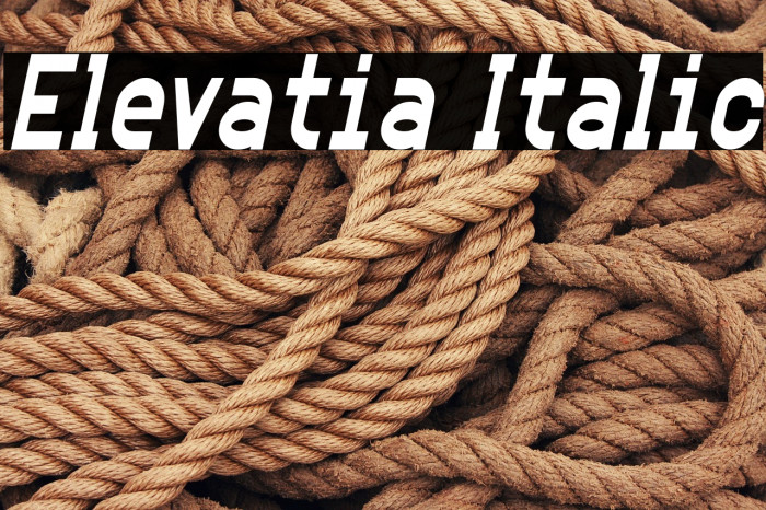 Elevatia Italic Example 1