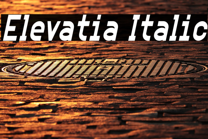 Elevatia Italic Example 2