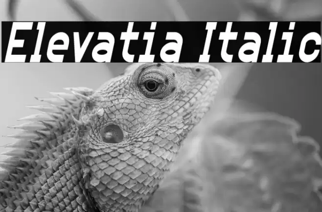 Elevatia Italic Font examples