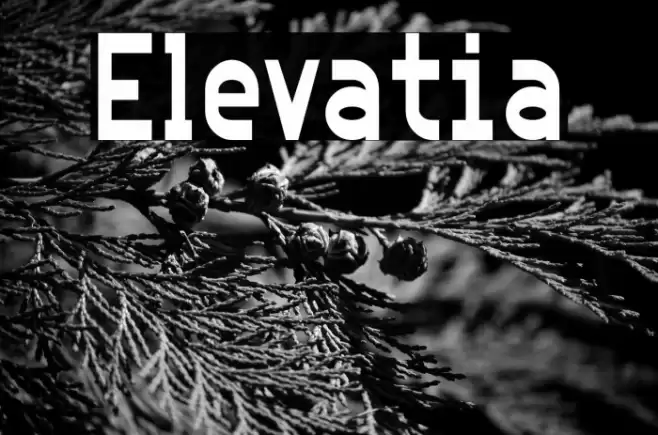 Elevatia Font examples