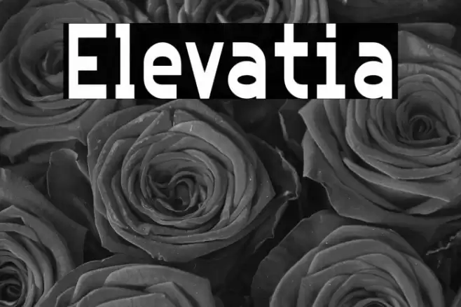 Elevatia Font examples