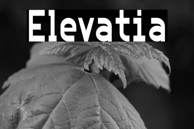 Elevatia Font examples