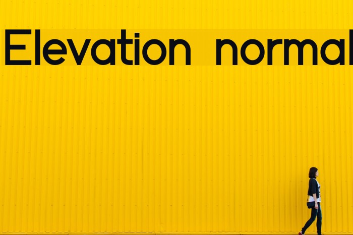 Elevation normal Font examples