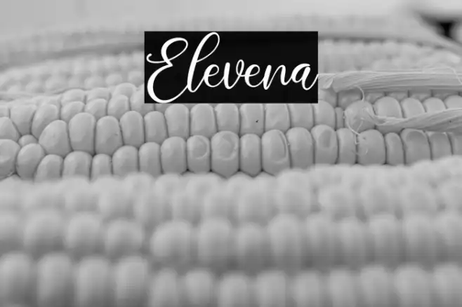Elevena Example 1