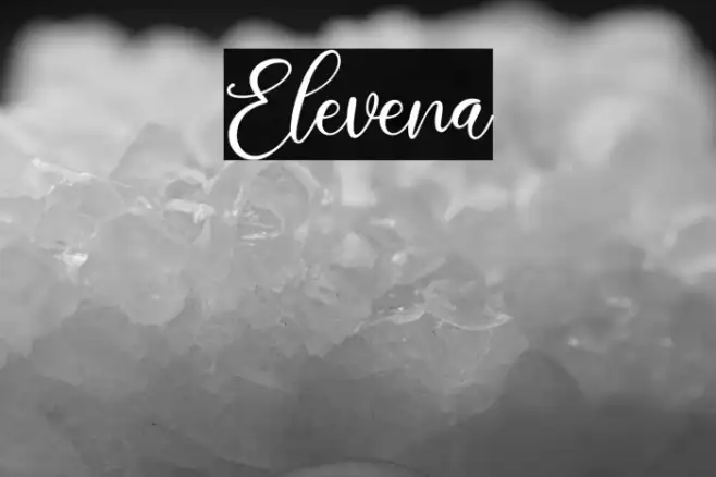 Elevena Example 3