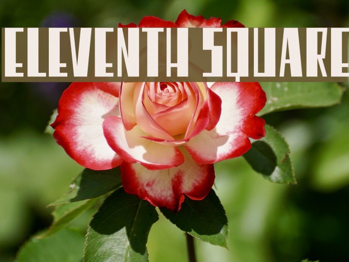 Eleventh Square Font examples
