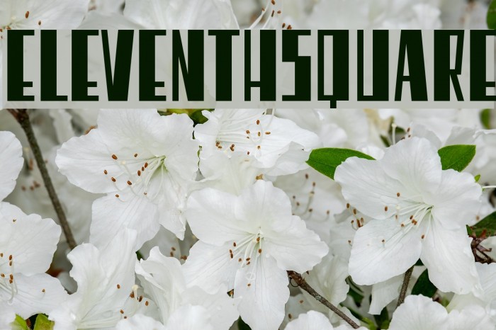 EleventhSquare Font examples