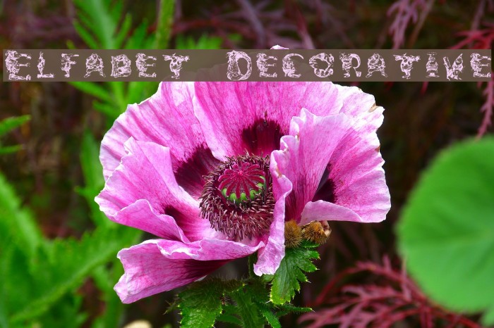 Elfabet Decorative Font examples