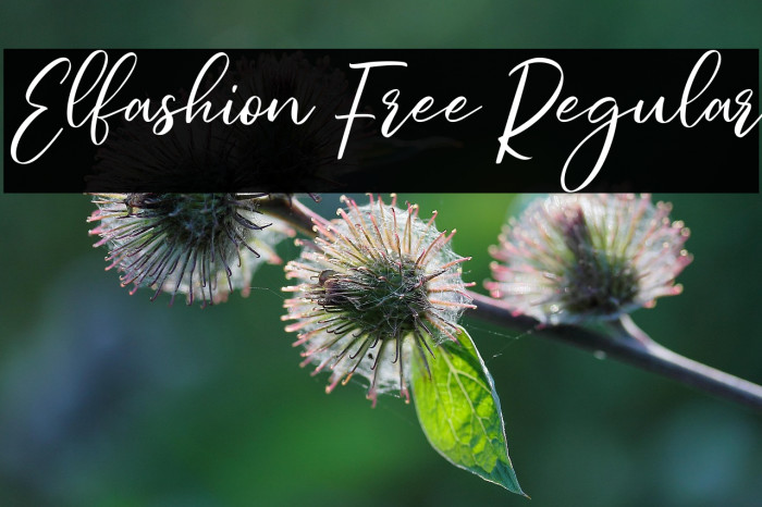 Elfashion Free Regular Example 1