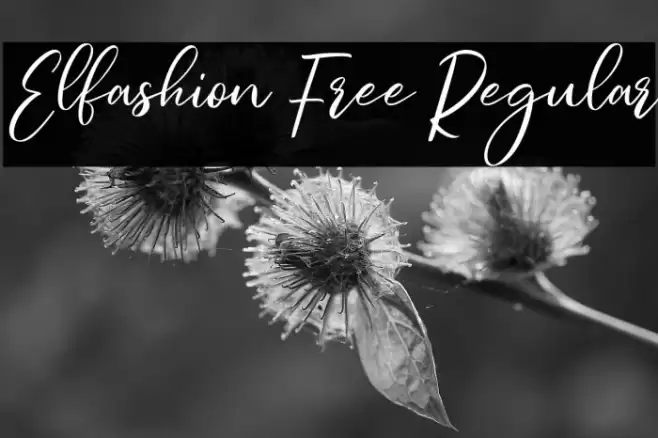 Elfashion Free Regular Font examples