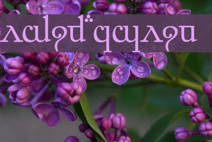 Elfic Caslin Example 2