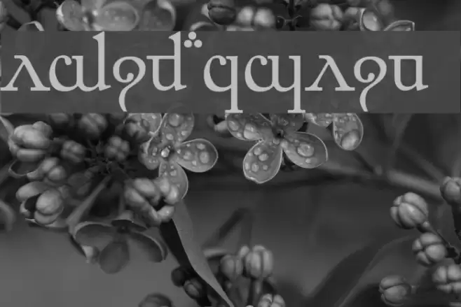 Elfic Caslin Font examples