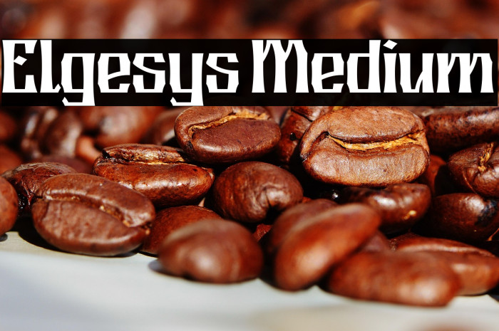 Elgesys Medium Example 1