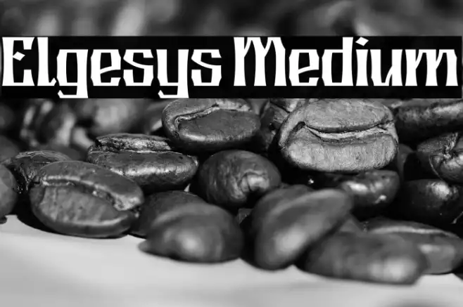 Elgesys Medium Example 1