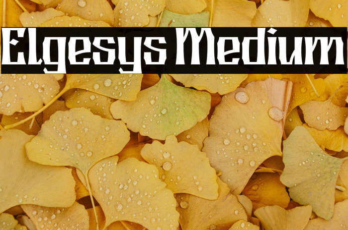 Elgesys Medium Example 2