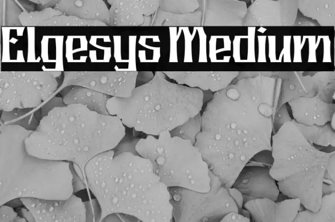 Elgesys Medium Example 2