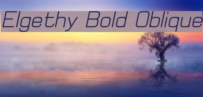 Elgethy Bold Oblique Font examples