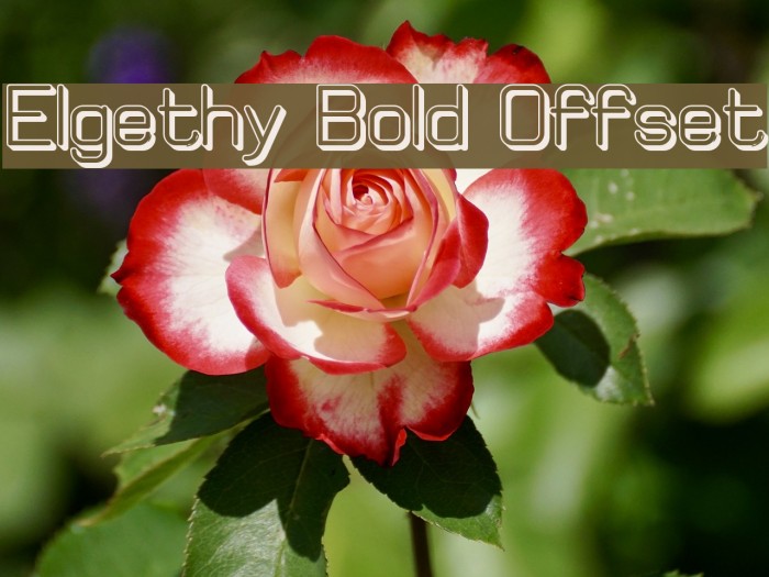Elgethy Bold Offset Font examples