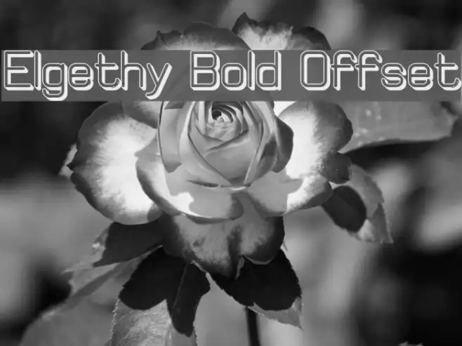 Elgethy Bold Offset Example 2