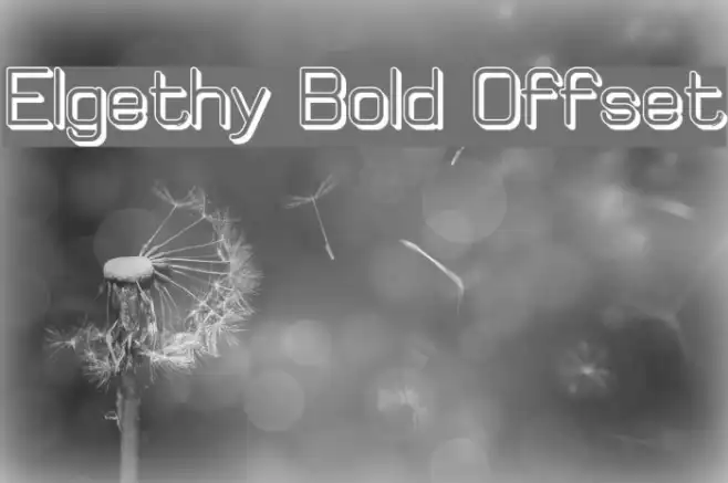 Elgethy Bold Offset Example 3