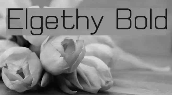 Elgethy Bold Font examples