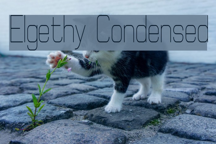 Elgethy Condensed Font examples