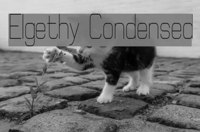 Elgethy Condensed Example 3