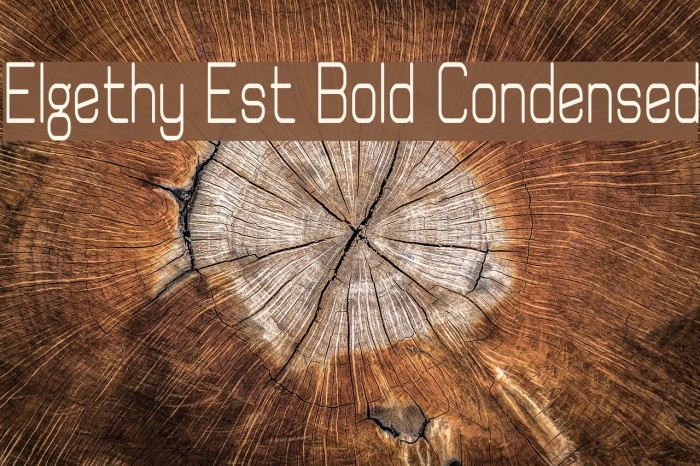 Elgethy Est Bold Condensed Font examples