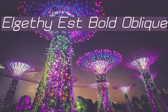 Elgethy Est Bold Oblique Font examples