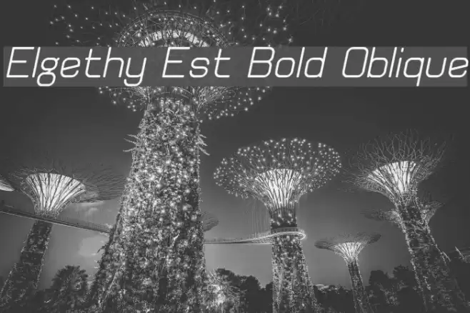 Elgethy Est Bold Oblique Fonte examples
