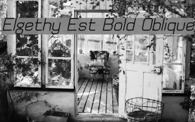 Elgethy Est Bold Oblique Fonte examples