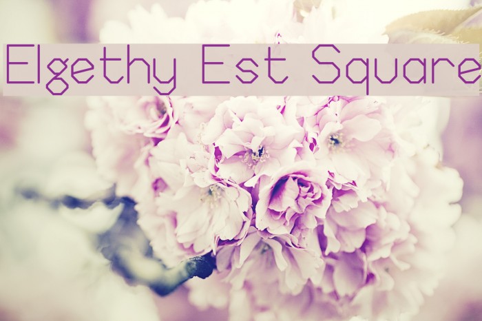 Elgethy Est Square Font examples