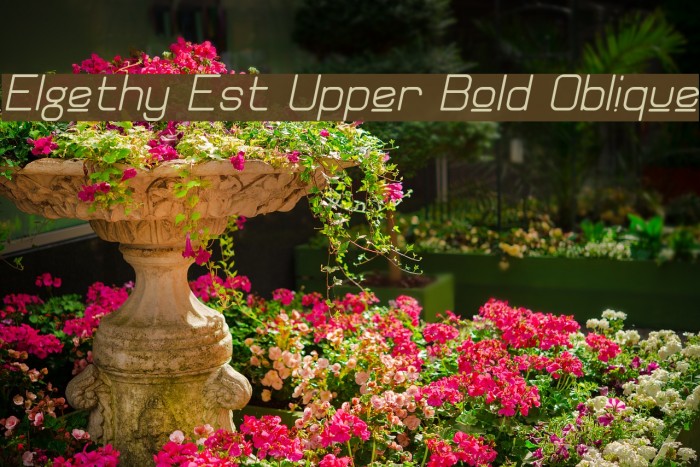 Elgethy Est Upper Bold Oblique Font examples