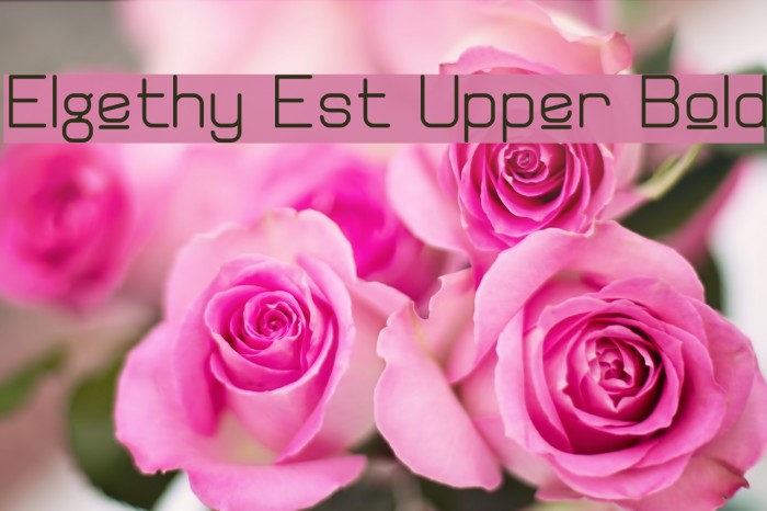Elgethy Est Upper Bold Font examples