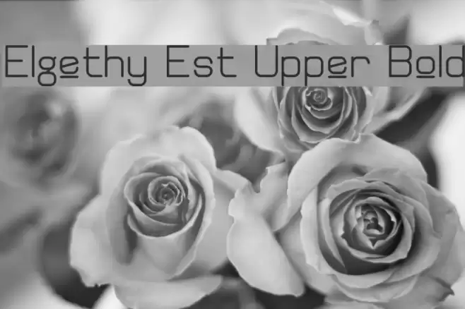 Elgethy Est Upper Bold フォント examples