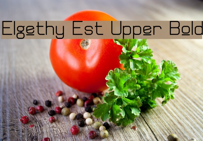 Elgethy Est Upper Bold Font examples