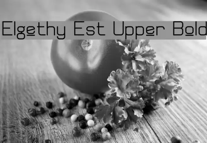 Elgethy Est Upper Bold フォント examples